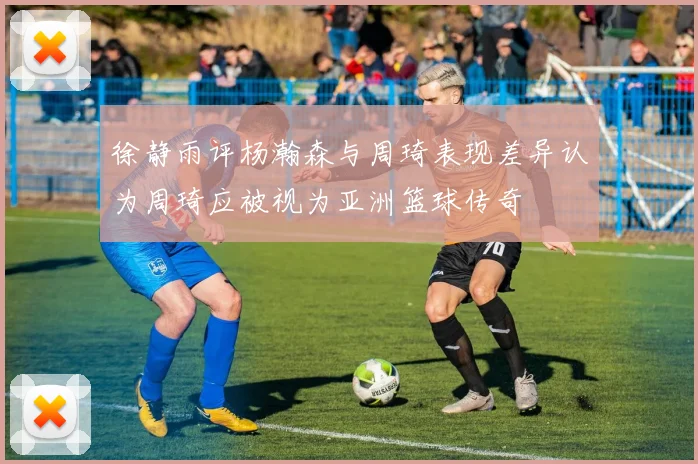 徐静雨评杨瀚森与周琦表现差异认为周琦应被视为亚洲篮球传奇