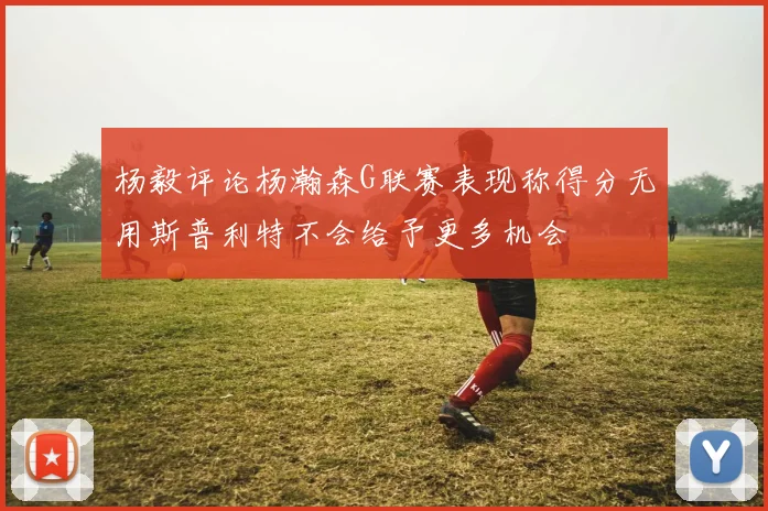 杨毅评论杨瀚森G联赛表现称得分无用斯普利特不会给予更多机会